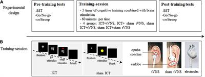 Training and Transfer Effects of Combining Inhibitory Control Training With Transcutaneous Vagus Nerve Stimulation in Healthy Adults